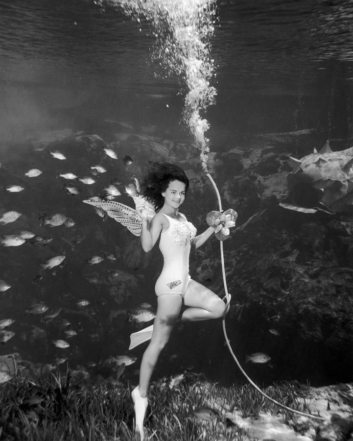 Among The Fishes Photograph by Hulton Archive