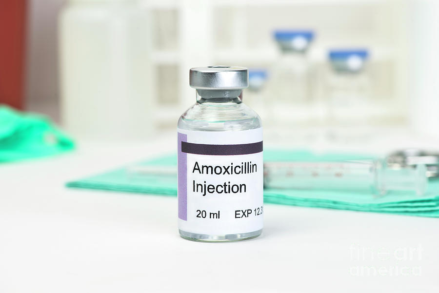 Amoxicillin Injection Photograph By Sherry Yates Youngscience Photo