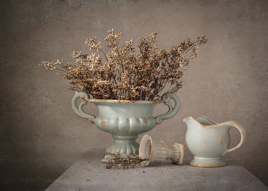 Flower Photograph - Amphora by Margareth Perfoncio