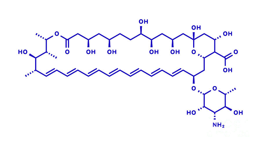 Amphotericin B Antifungal Drug Molecule Photograph by Molekuul/science ...