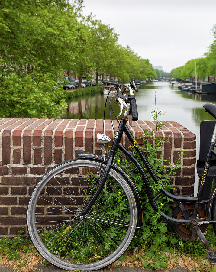 Amsterdam Canal and Bicycle Photograph by Georgia Clare