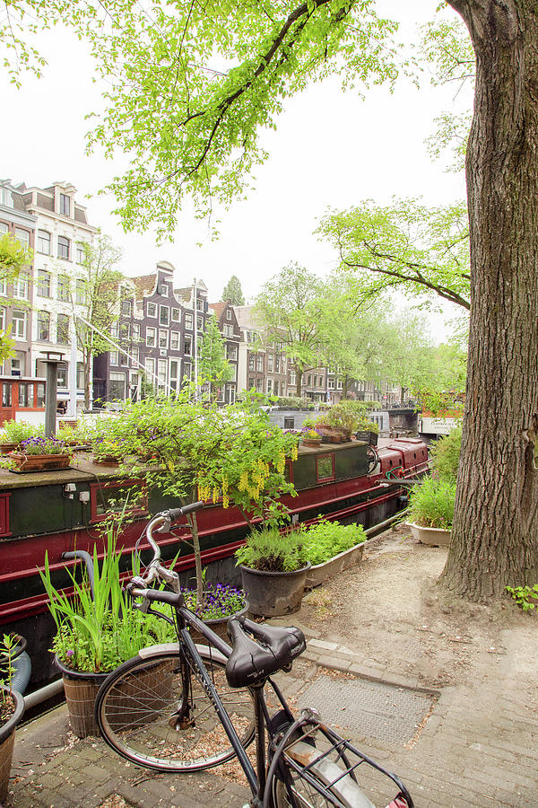 Amsterdam Living Photograph by Georgia Clare