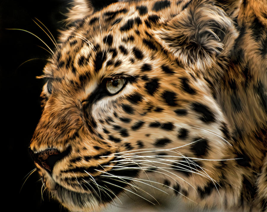 Animal Photograph - Amur Leopard Copy by Lori Hutchison
