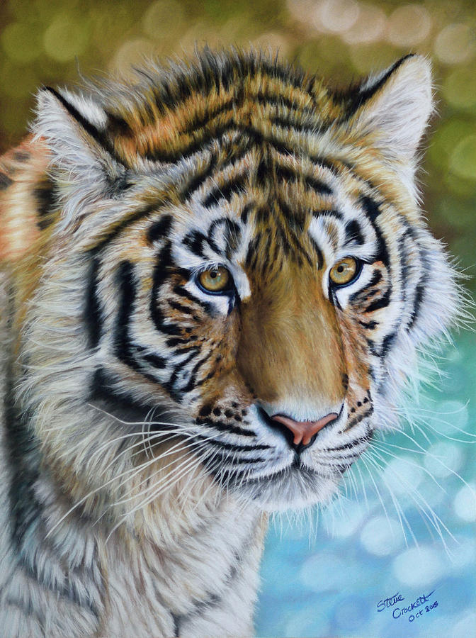 Amur Tiger Painting by Steve Crockett - Fine Art America