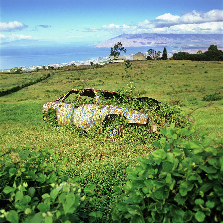 An Abandoned Car With Ivy Growing In Photograph by Brian Caissie