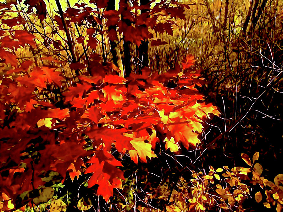 An Abstract Autumn Digital Art by Elizabeth Tillar