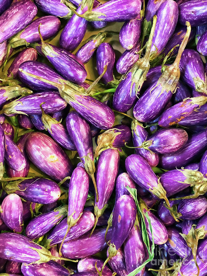 An Abundance of Eggplant Photograph by Lenore Locken