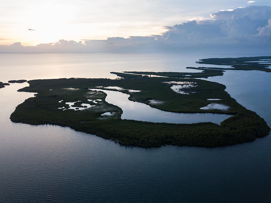 Nature Photograph - An Aerial View Of Mangroves by Ethan Daniels