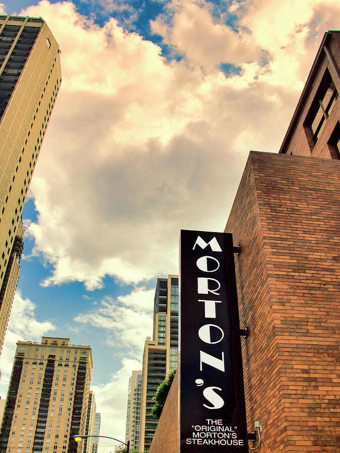 AN AFTERNOON WITH MORTON Chicago IL Photograph by William Dey