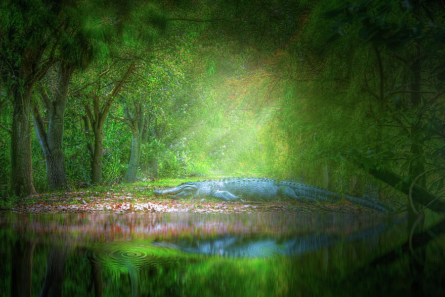 An Alligator in the Forest Photograph by Mark Andrew Thomas