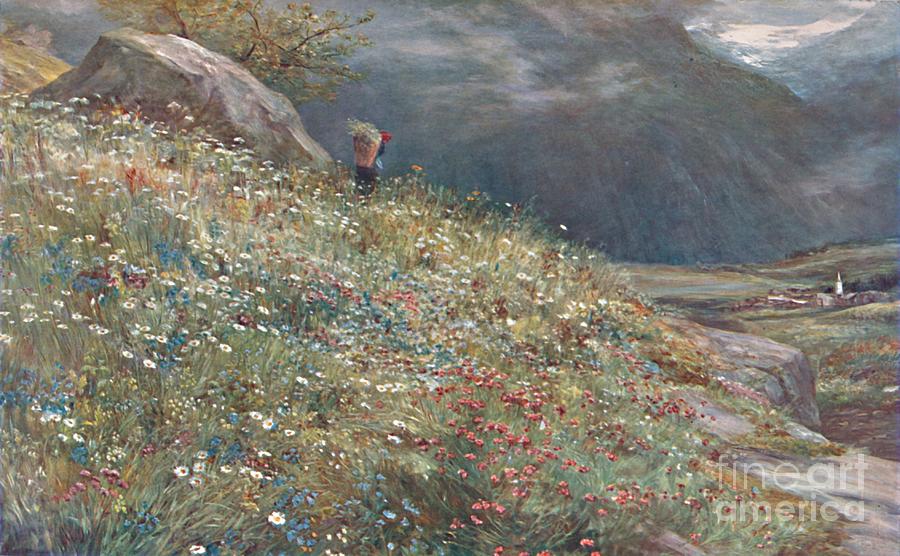 An Alpine Meadow Drawing by Print Collector