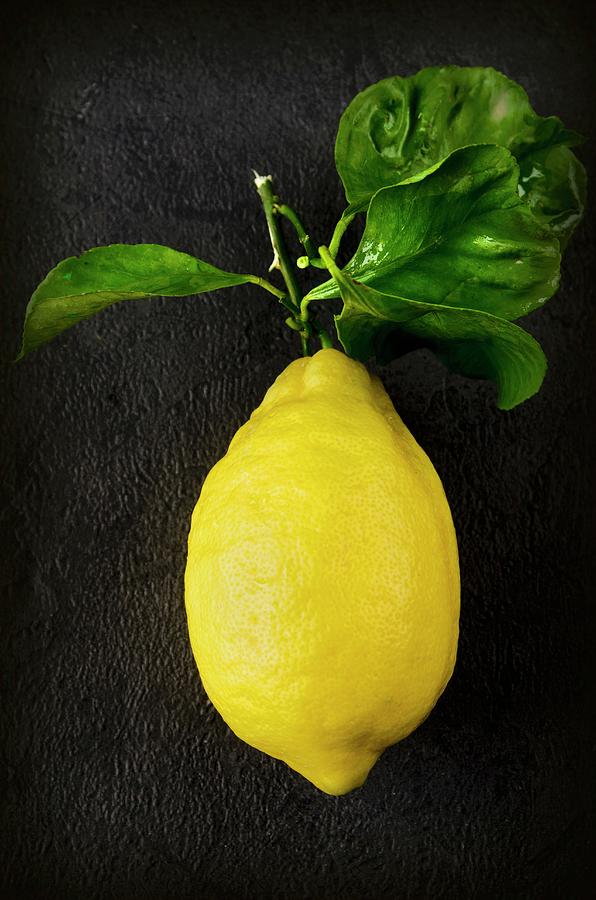 An Amalfi Lemon With Leaves Photograph by Jamie Watson