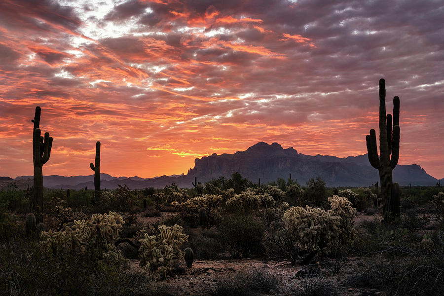 An Amazing Desert Morning  Photograph by Saija Lehtonen
