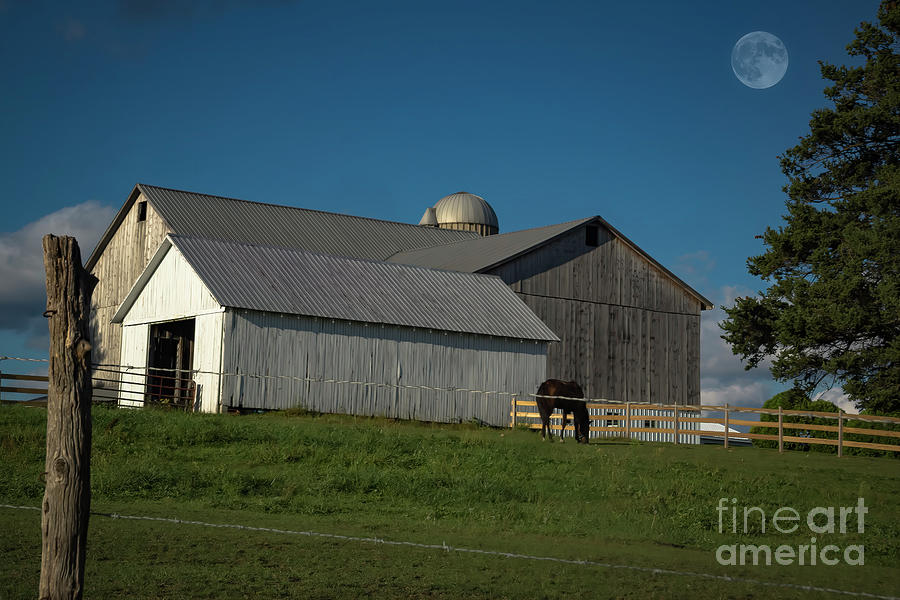 An Amish Barn Photograph
