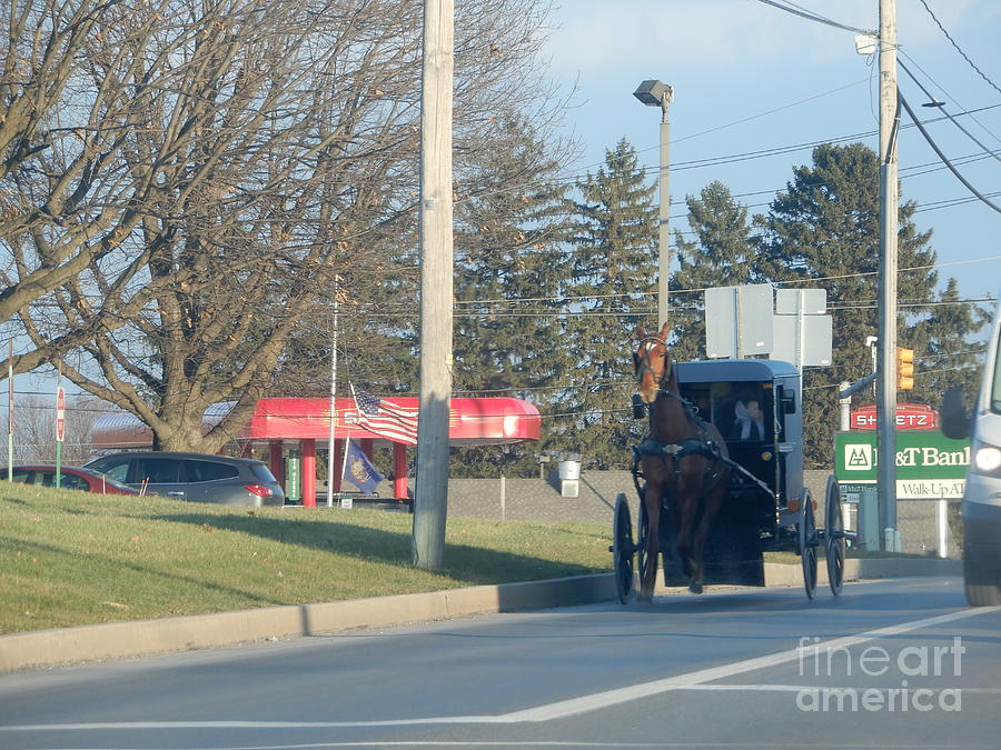 An Amish Family in a Buggy Photograph by Christine Clark