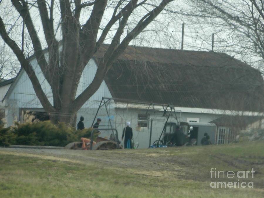 An Amish Family Works on Their Farm Photograph by Christine Clark