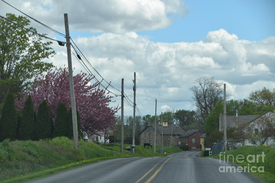 An Amish Spring Drive Photograph by Christine Clark