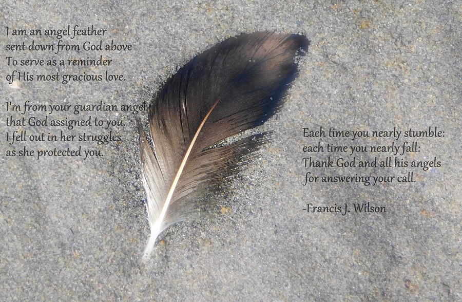 An Angel Feather Photograph By Karen Cook