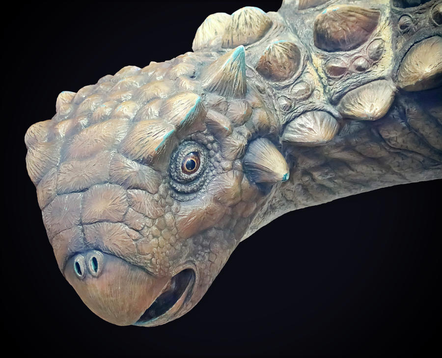 An Ankylosaur Exhibit At The Nat, San Diego, Ca, Usa Photograph