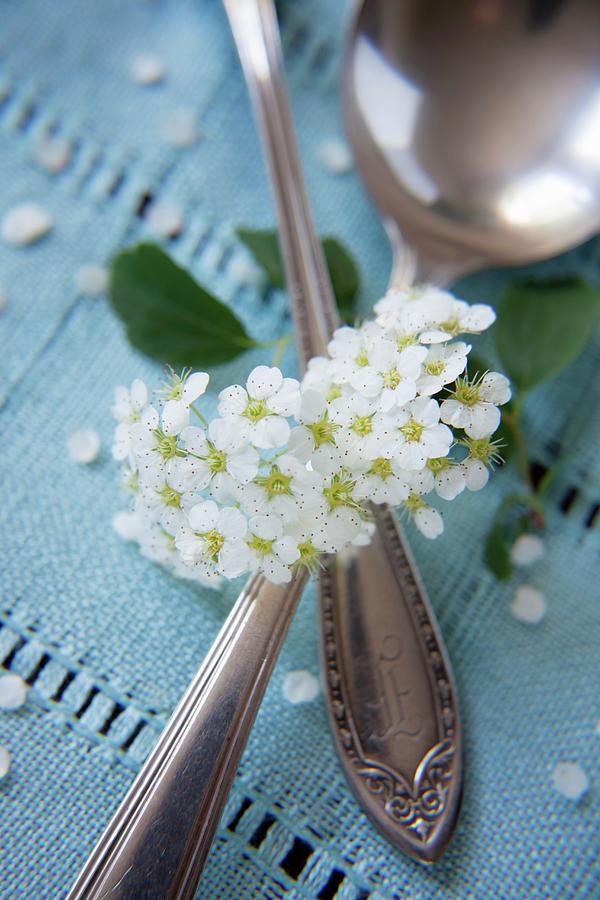 An Antique Spoon And Blossom On Turquoise Fabric Photograph by Katharine Pollak