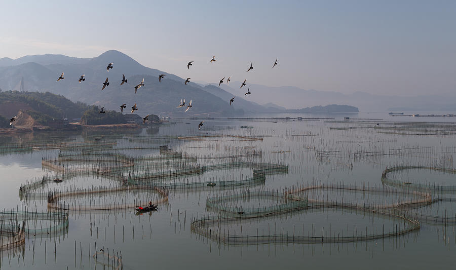 Farm Photograph - An Aquaculture Farm At Fuding by Cheng Chang
