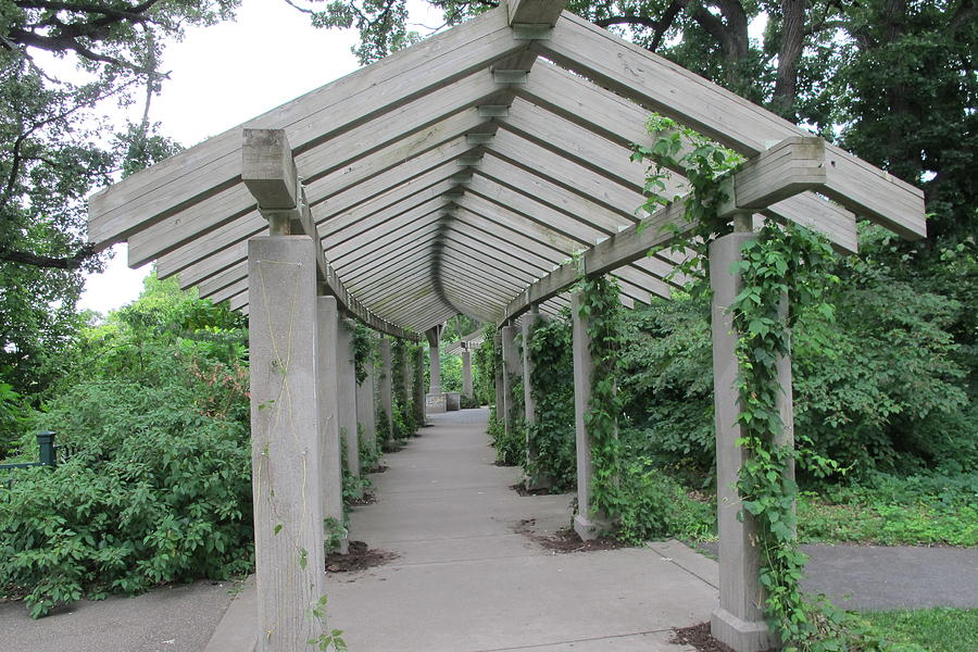 An Arbor in the Park Photograph by Laura Smith