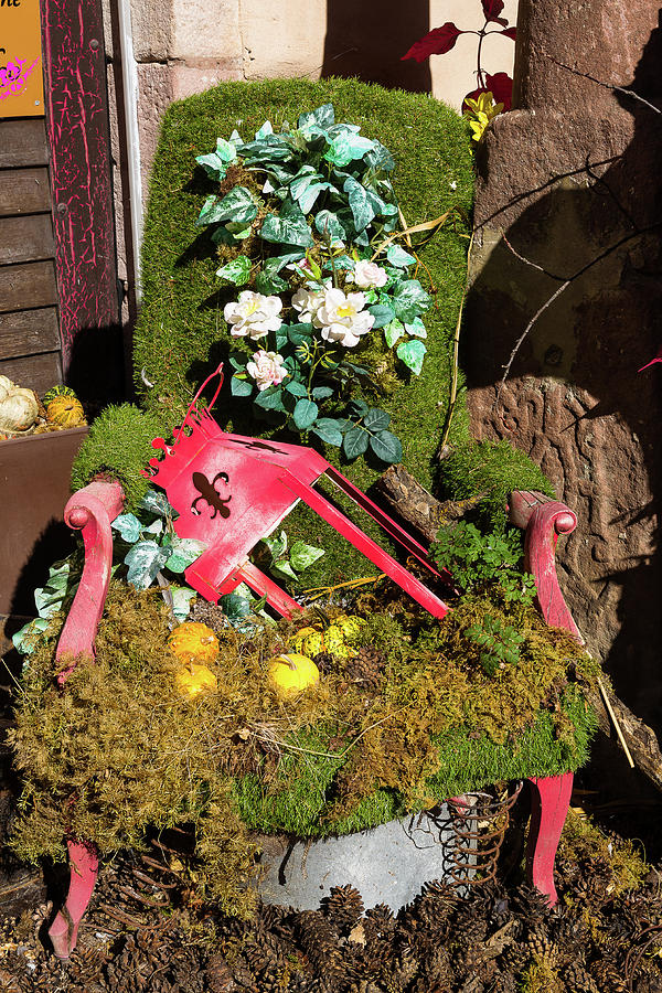 An armchair covered with moss Photograph by Paul MAURICE