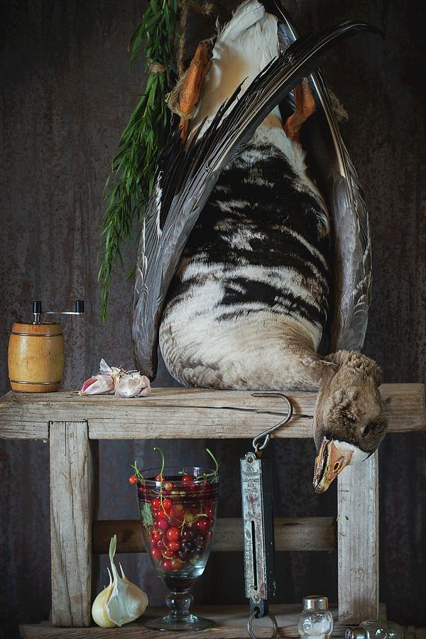 An Arrangement Featuring A Dead Grey Goose On A Wooden Rack, Redcurrants, Garlic, Salt And Pepper Photograph by Natasha Breen