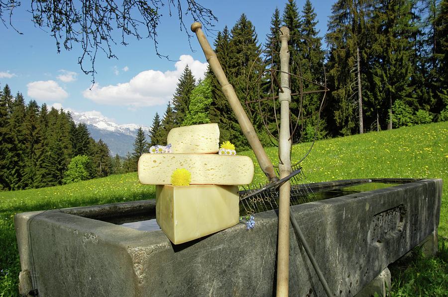 An Arrangement Of Alpbachtal Heumilchkse cheese Made From Silage-free Milk On A Cattle Trough In Alpbachtal tyrol, Austria Photograph by Rita Newman