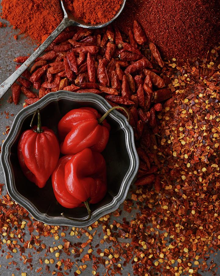 An Arrangement Of Chillis As A Spice Photograph by Amanda Stockley