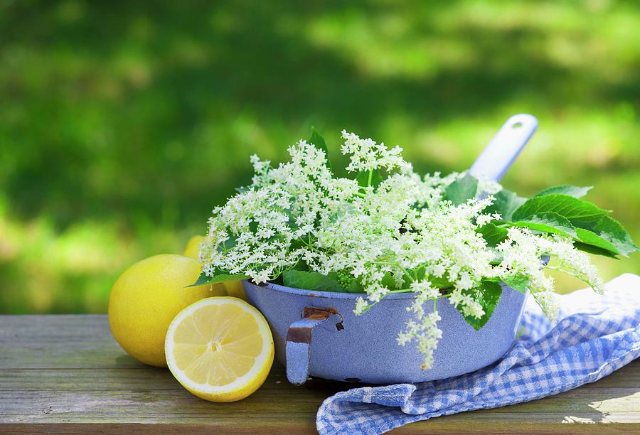 An Arrangement Of Fresh Lemons And Elderflowers On A Table Outside Photograph by Foodografix