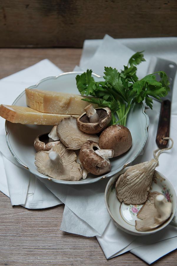 An Arrangement Of Ingredients With Mushrooms, Oyster Mushrooms, Parmesan Cheese And Parsley Photograph by Angelika Grossmann