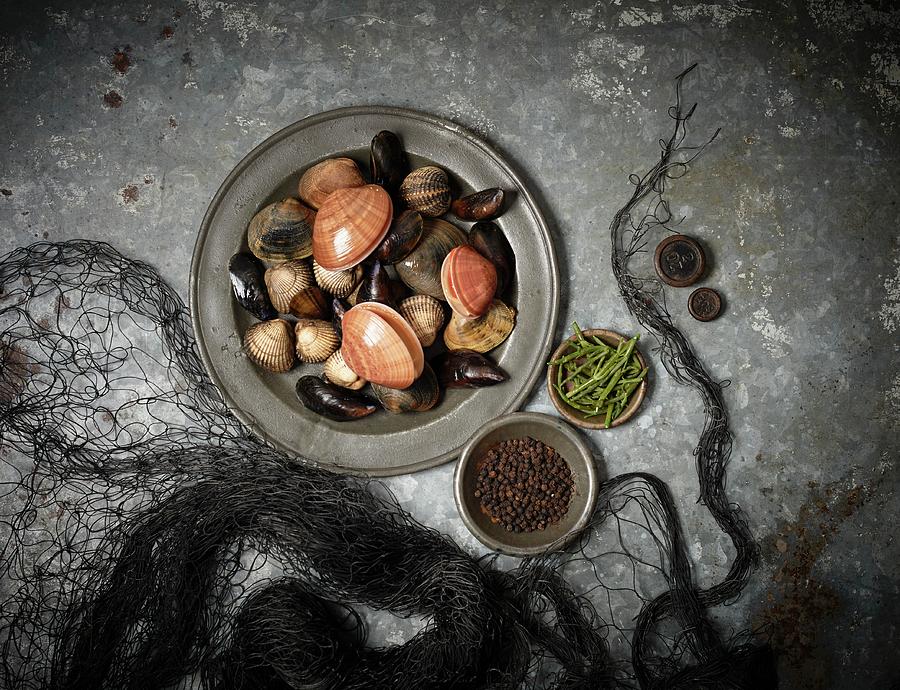 An Arrangement Of Various Fresh Mussels Photograph by Charlotte Kibbles