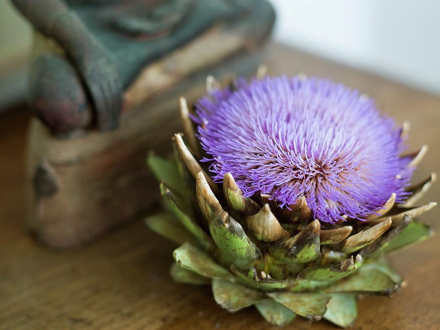 An Artichoke Flower In Front Of A Wooden Figure Photograph by Per Magnus Persson