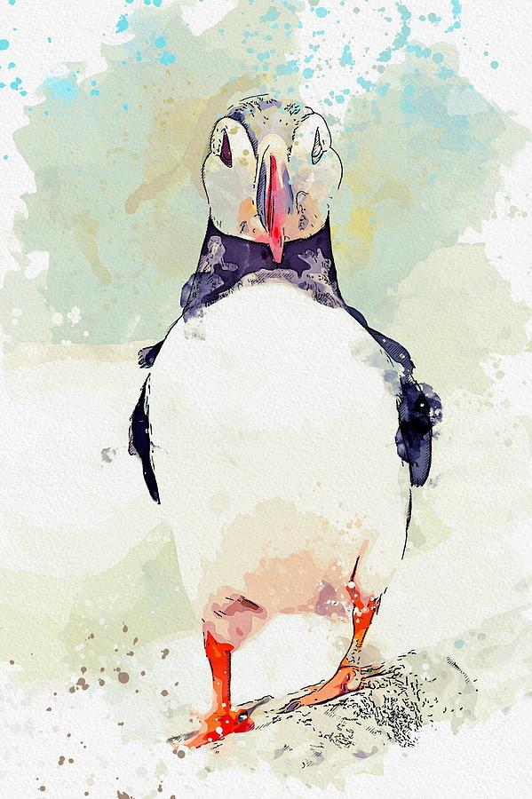 An Atlantic Puffin -  watercolor by Ahmet Asar Painting by Celestial Images