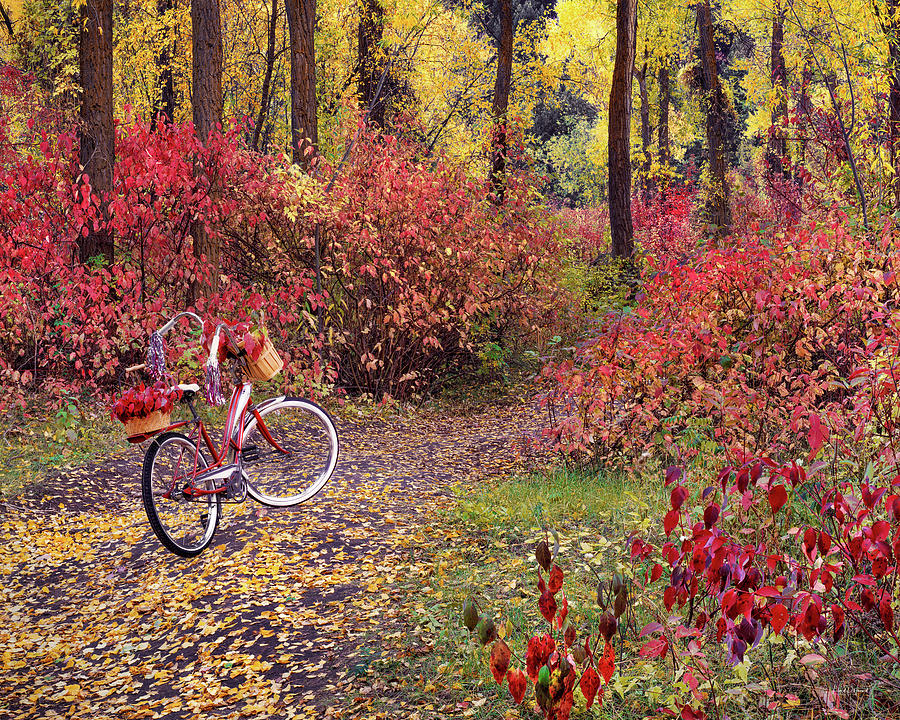An Autumn Bike Trek Photograph by Leland D Howard