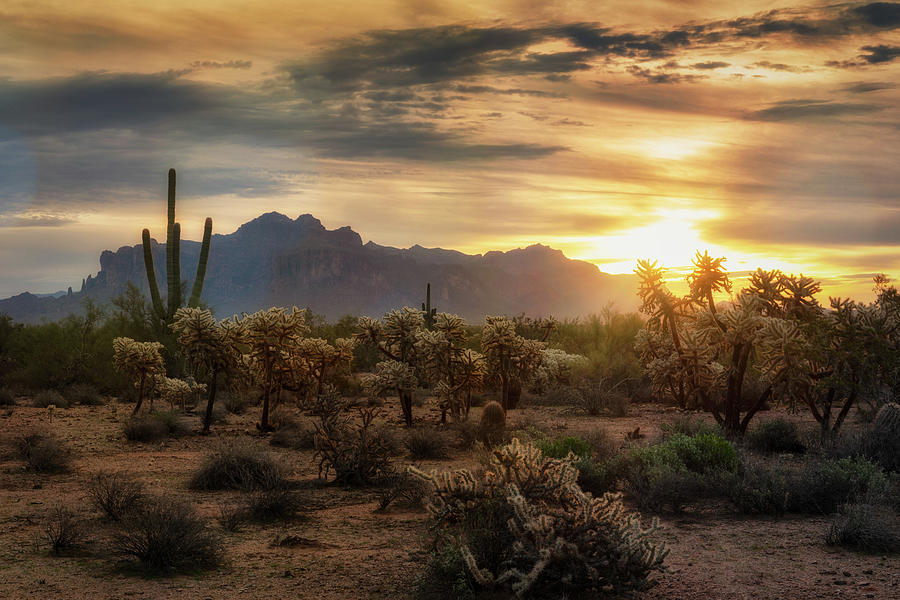 An Autumn Desert Sunrise Photograph by Saija Lehtonen - Fine Art America