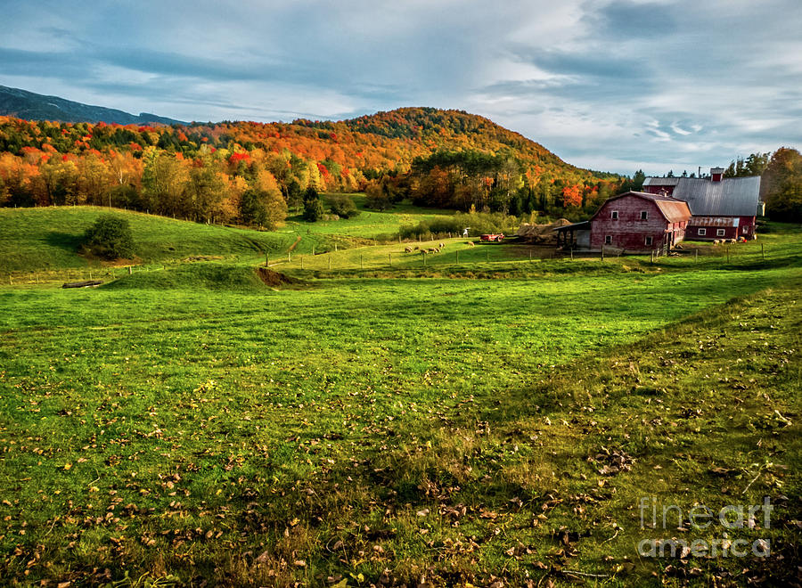 An Autumn Farm Photograph by James Aiken