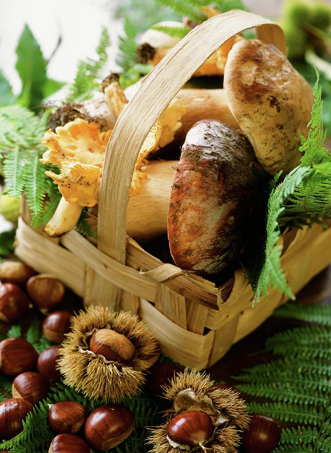 An Autumnal Arrangement Of Fresh Porcini Mushrooms And Chestnuts Photograph by Fabrizia Postiglione