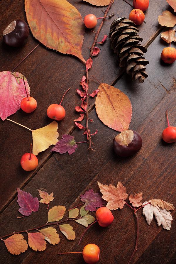 An Autumnal Arrangement Of Pine Cones, Leaves And Berries Photograph by Katharine Pollak