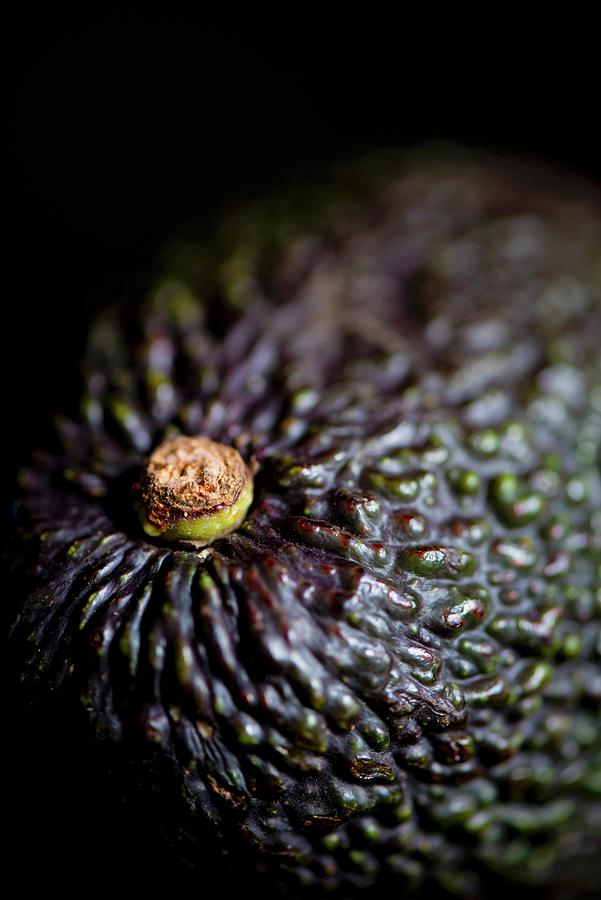 An Avocado close-up Photograph by Jamie Watson