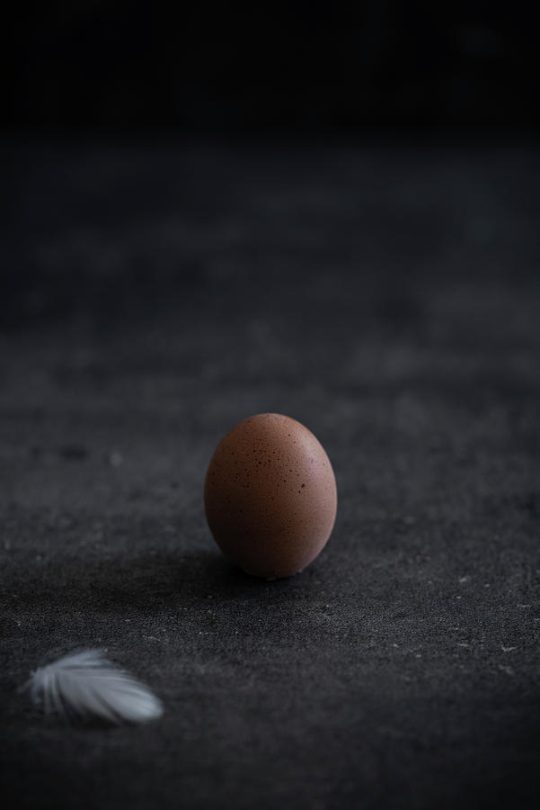 An Egg And Feather On A Dark Background Photograph by M. Nlke