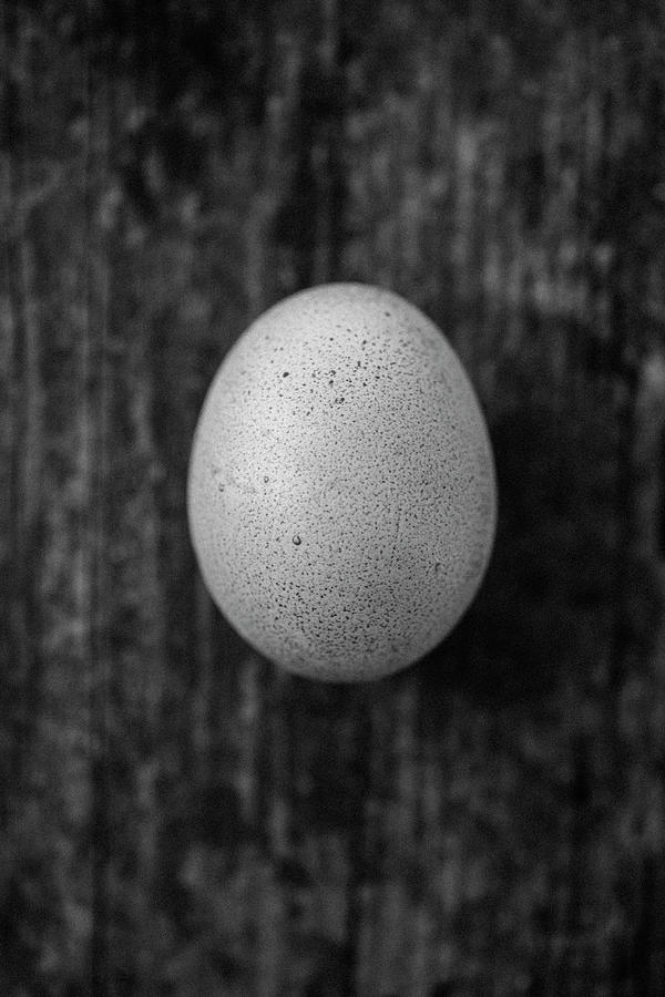 An Egg top View Photograph by Katrin Winner