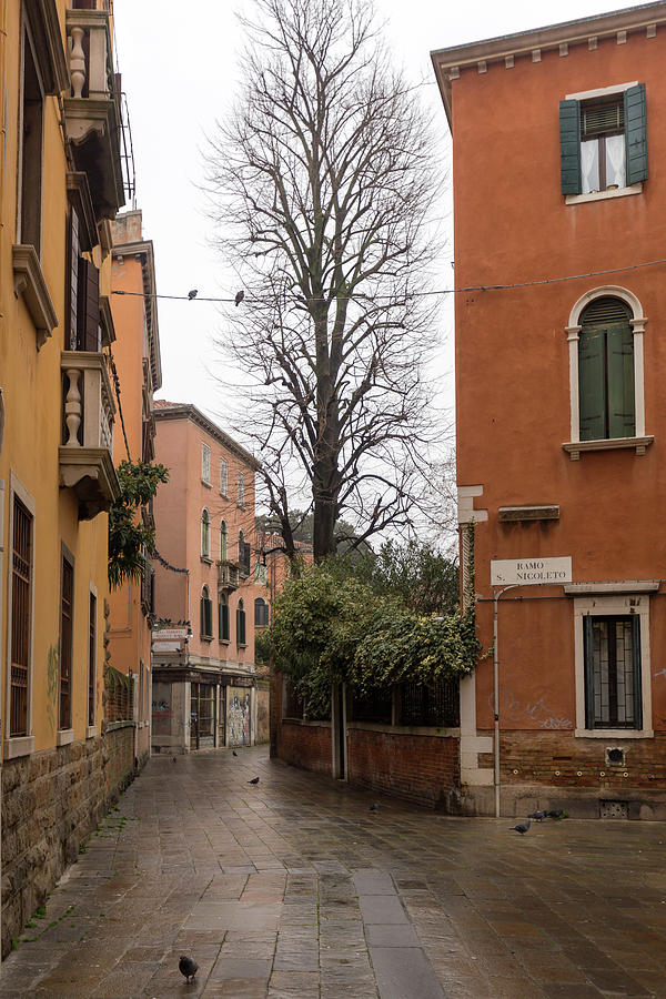 An Empty Street in Venice Photograph by Georgia Clare