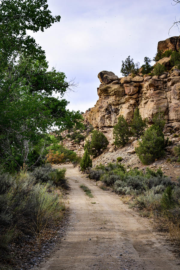 An Enchanted Road in the Desert Photograph by Brenda Landdeck - Fine ...