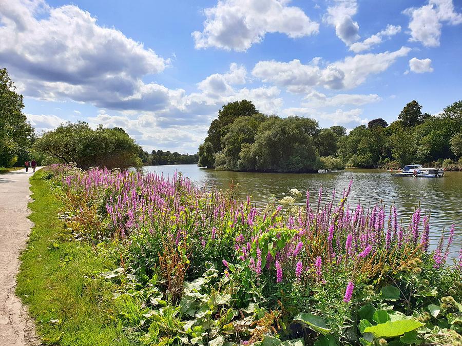 An English Summer Day by Andrea Whitaker An English Summer Day by Andrea Whitaker
