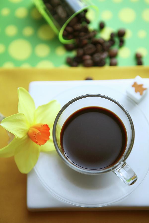 An Espresso In A Glass Cup With A Daffodil Photograph by Viola Cajo