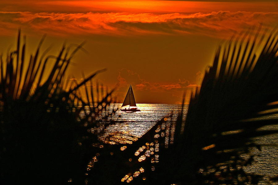 Sunset Photograph - An Evening Sail by Dante Macwell