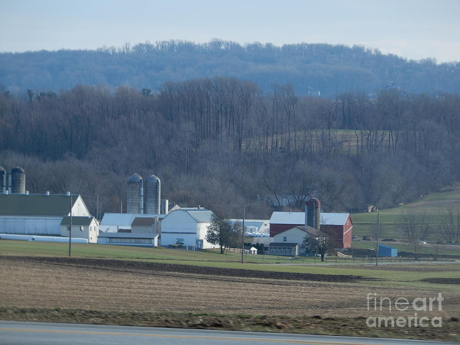 An Evening View of an Amish Farm Photograph by Christine Clark