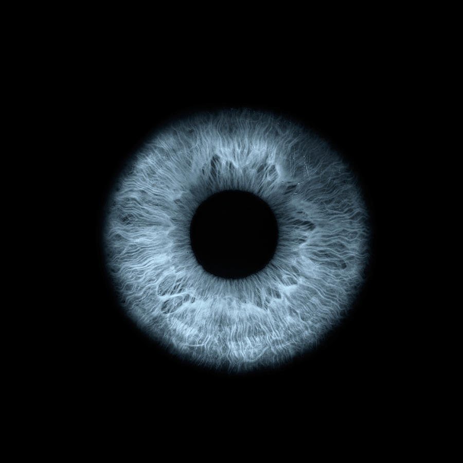 An Eye, Close-up Photograph by Jonathan Knowles